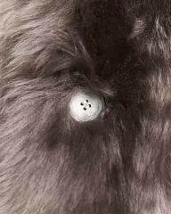 photo-thumbnail-3